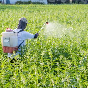 Hombre fumigando en el campo