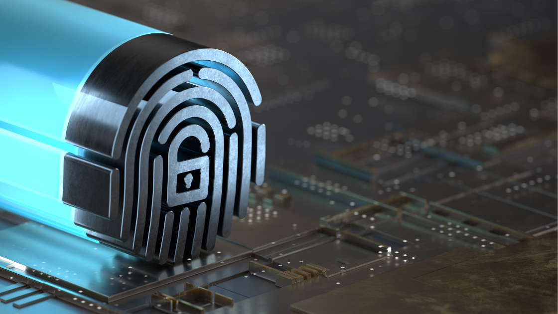 Ciberseguridad para principiantes: cómo proteger tus datos