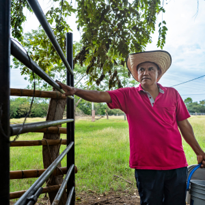 Emprender en entorno rural: requisitos y ayudas