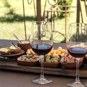 Creación de producto enogastronómico para mejorar la oferta turística​