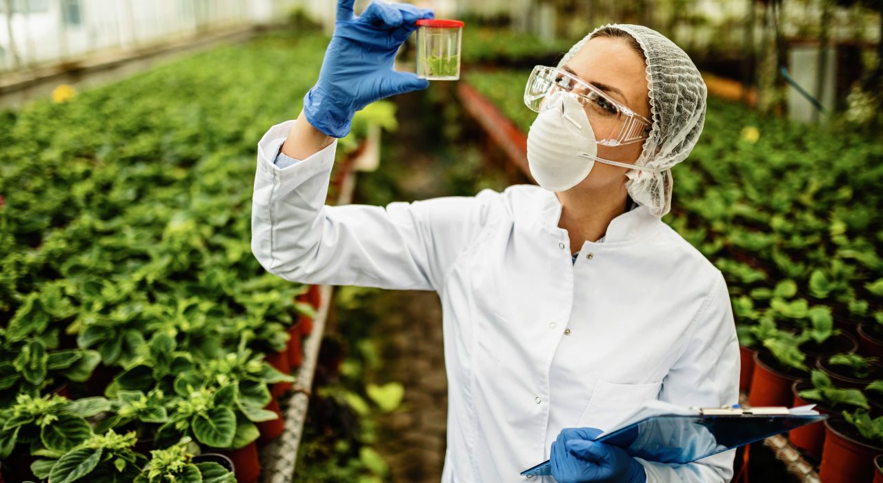 Female botanist examining plant sample during quality control inspection in a greenhouse.